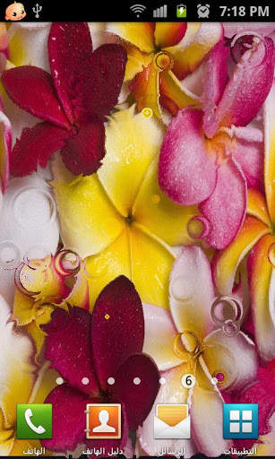 Roses Live Wallpaper screenshot 3