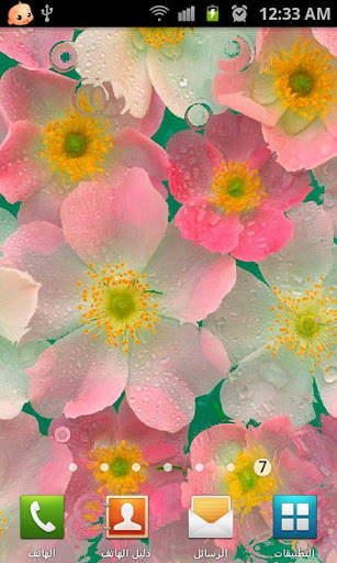Roses Live Wallpaper screenshot 1