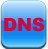 DNS Setting icon