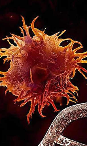 Cancer Book स्क्रीनशॉट 3