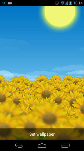 Sunflower Field Live Wallpaper screenshot 1