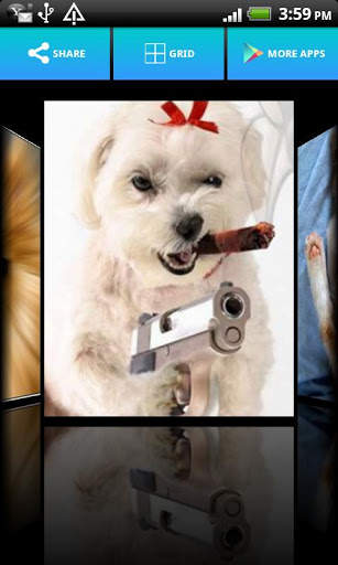 Cute Animals Wallpapers screenshot 2