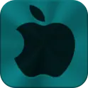 Fake iPhone 4S