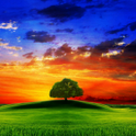 Best 3D Nature Scenery LWP icon