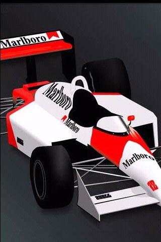 F1 Racing screenshot 2
