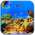Fish swimming أيقونة