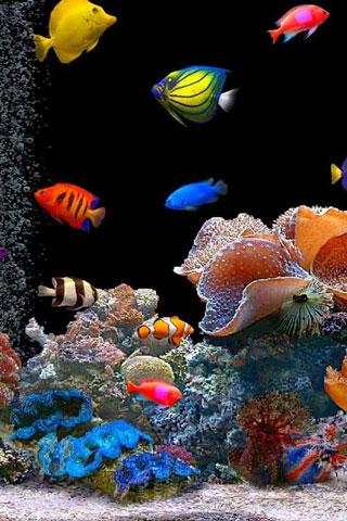Fish swimming screenshot 2
