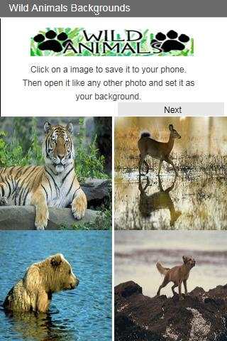 Wild Animals Backgrounds 1 تصوير الشاشة