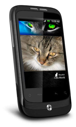 Funny Cat Best Live Wallpaper screenshot 1