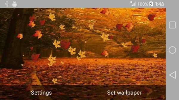 Nature Wallpaper Live स्क्रीनशॉट 4
