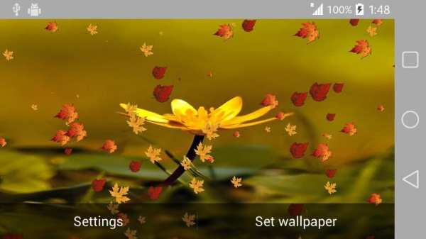 Nature Wallpaper Live स्क्रीनशॉट 5
