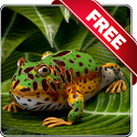 Pacman Frog Free أيقونة
