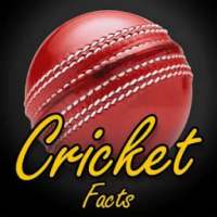 Cricket Facts of T20, Worldcup