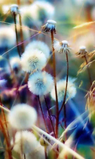 Galaxy S3 HD LWP screenshot 5