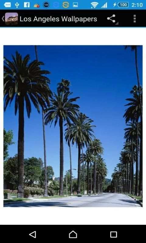 Los Angeles Wallpapers screenshot 1