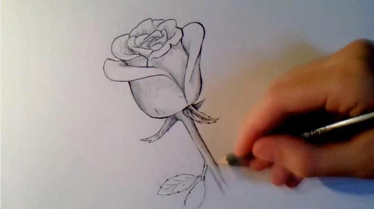 how to draw flowers 7 تصوير الشاشة