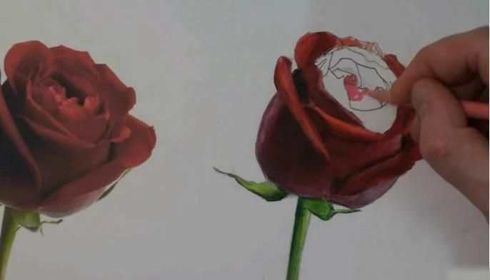 how to draw flowers screenshot 5