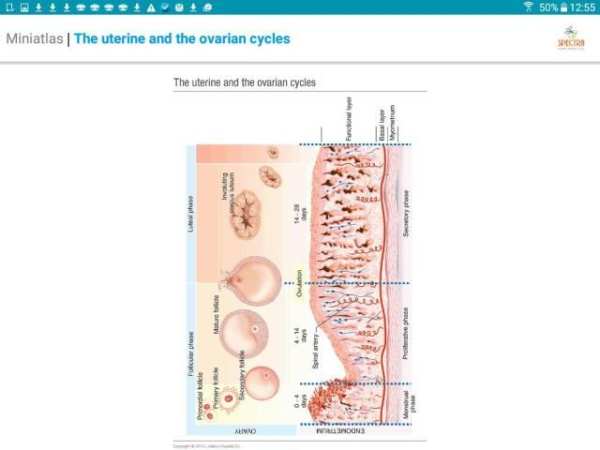 Mini Atlas Gynaecology स्क्रीनशॉट 2