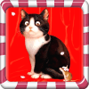 Sound Cats icon