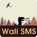 Wali SMS-Dragon nest theme on 9Apps