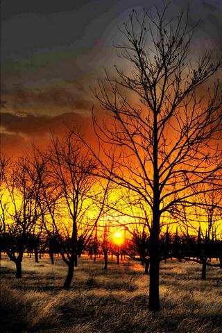 Amazing Sun Light Wallpaper screenshot 1