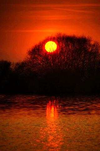 Amazing Sun Light Wallpaper screenshot 2