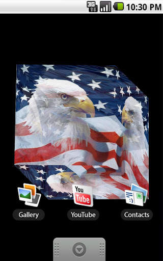 American Eagle Live Wallpaper screenshot 2