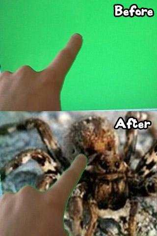 Green Screen screenshot 1