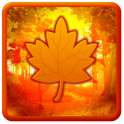 Autumn Leaves Live Wallpaper on 9Apps