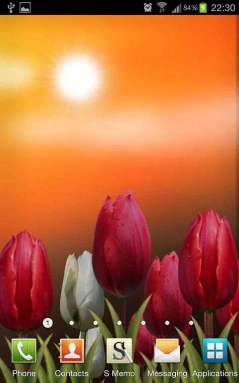 Flowers HD Free Live Wallpaper screenshot 4