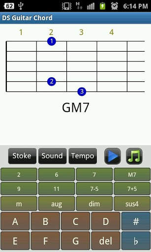 DS Guitar Chord screenshot 1