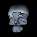 3D Moving Skull Live Wallpaper icon