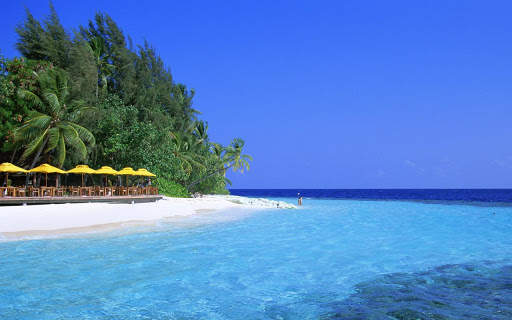 Beach Background HD screenshot 2