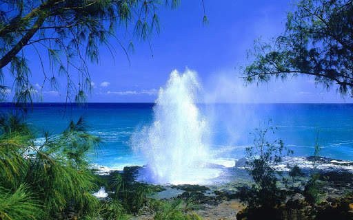 Beach Background HD screenshot 3