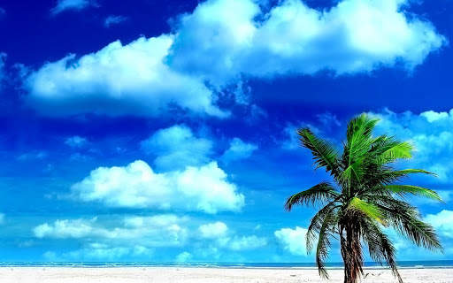 Beach Background HD screenshot 4