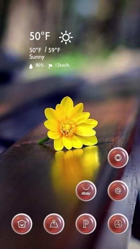 The Yellow Flowers स्क्रीनशॉट 2