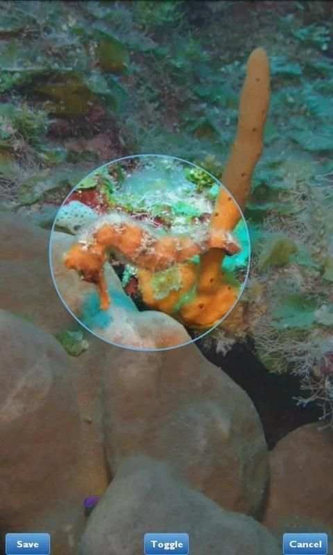 Photo Gallery (Fish Bowl) screenshot 2