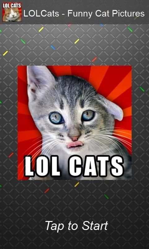 LOLCats - Funny cats pictures screenshot 8