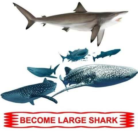 World of Hungry Shark screenshot 1