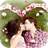 Romantic Wallpapers 1.9