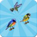 Small Birds Game 1.02
