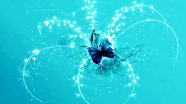 Live Wallpaper 3D Butterfly screenshot 5