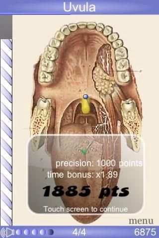 Speed Anatomy Quiz Free स्क्रीनशॉट 1