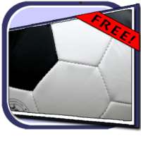 Tottenham Hotspur-Daily Stats