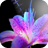 Beatiful Flower wallpaper icon