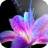 Beatiful Flower wallpaper 1.9