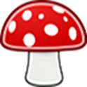 Colorado Mushrooms on 9Apps