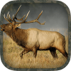ikon Elk Hunting Calls
