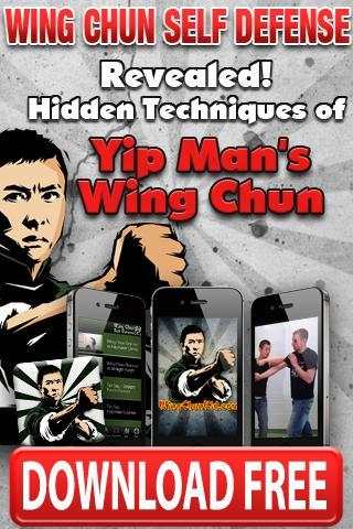 Wing Chun screenshot 1