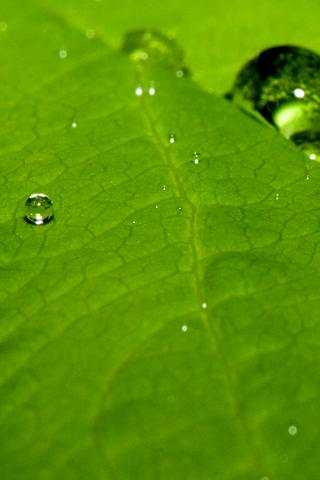 Wallpaper Nature2 screenshot 1